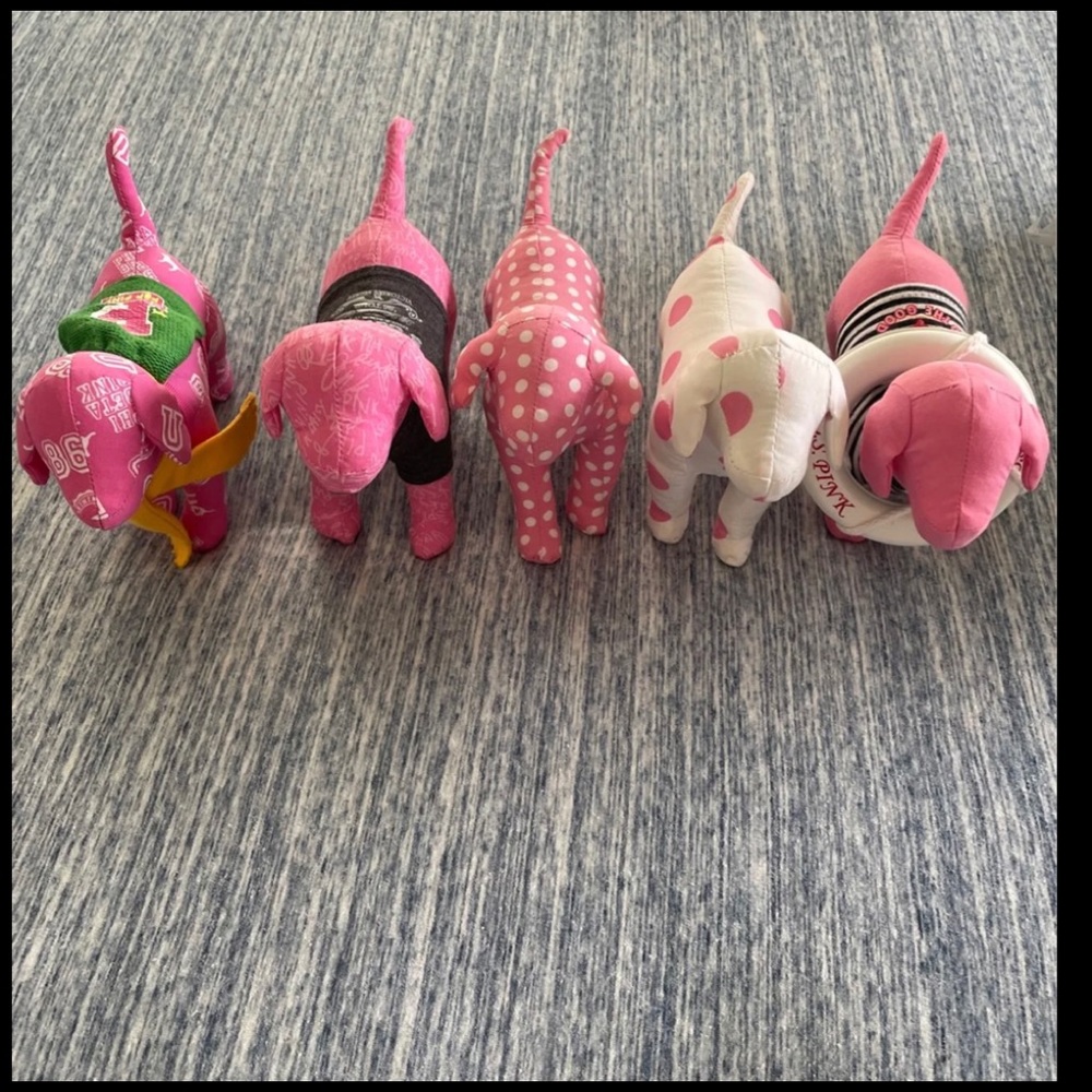 5 VS PINK Dogs